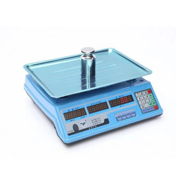 40Kg Scale - Image 3