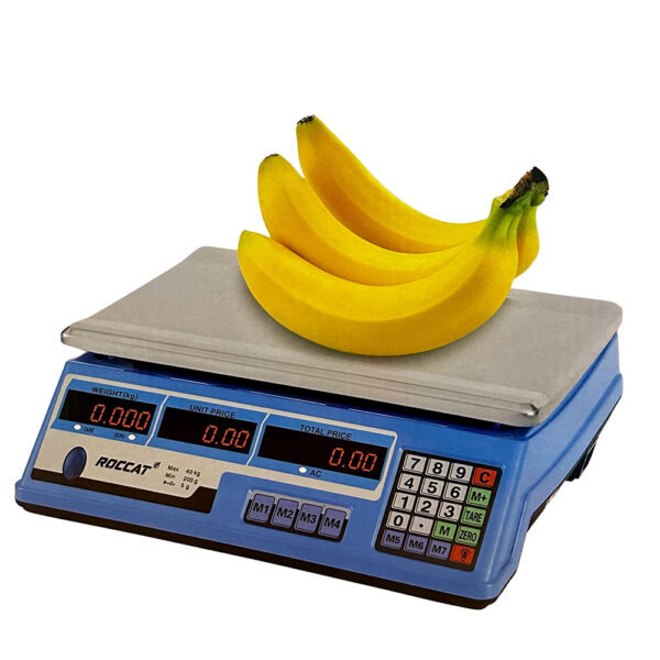 40Kg Scale - Image 2