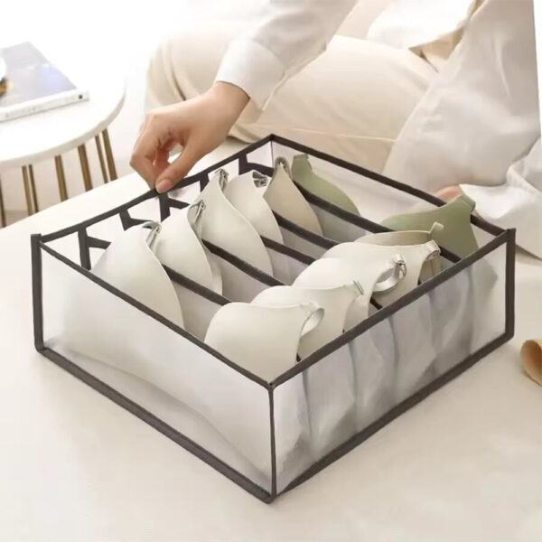6 Grids innerwear Organizer - Image 2