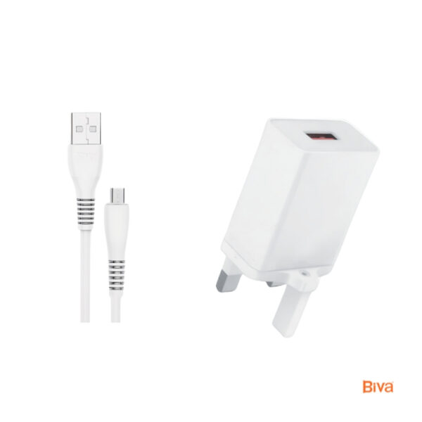 Biva Micro Charger - 46V