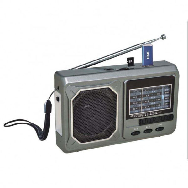 Fepe Radio with USB/SD card Slot FP-1780U