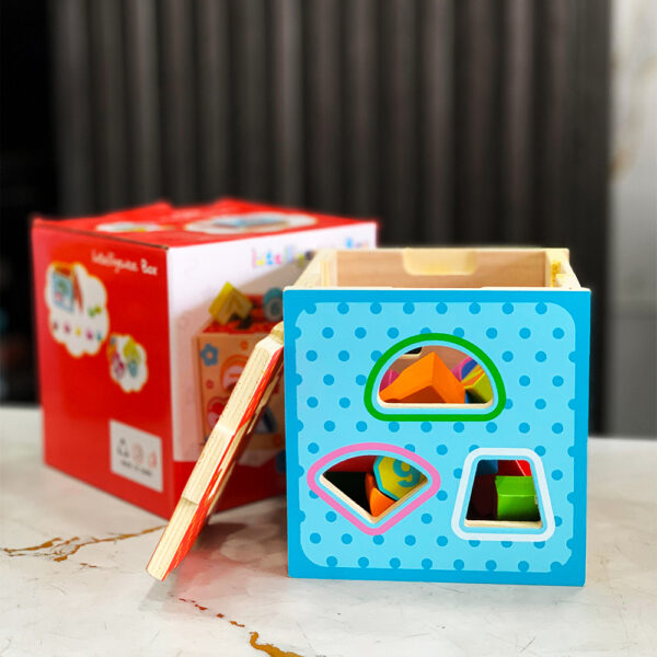 Kids Wooden Intelligence Box - Image 2